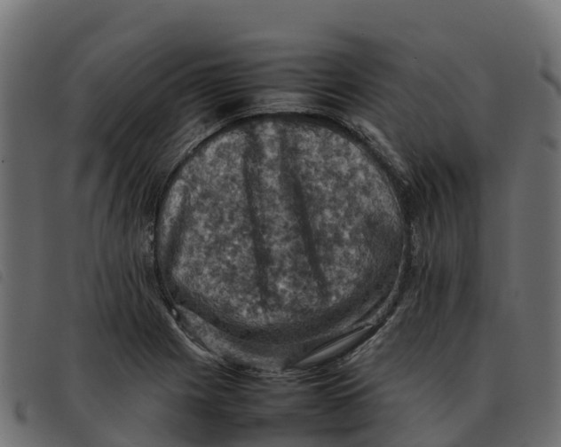 X0000092221225200710121150