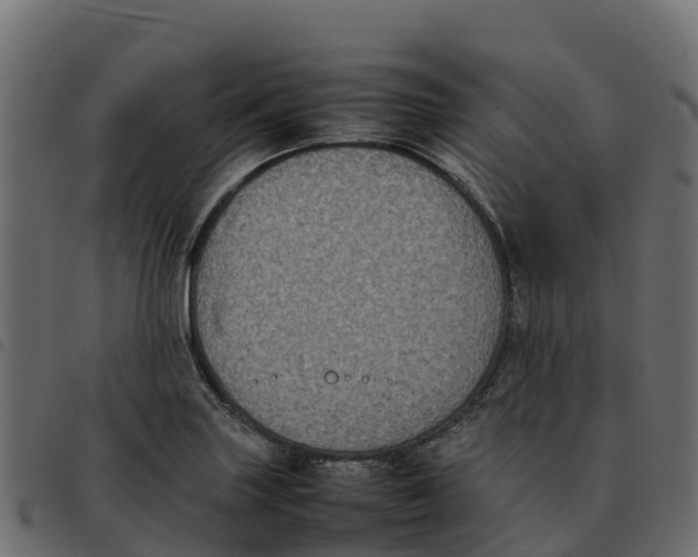 X0000092221227200710121150