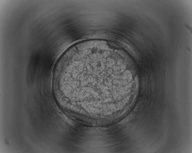 X0000092221228200710121150