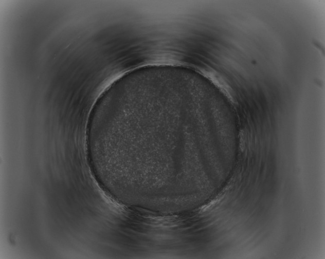 X0000092221229200710121150