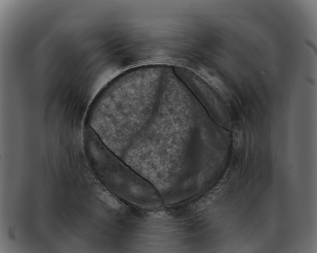 X0000092221230200710121150