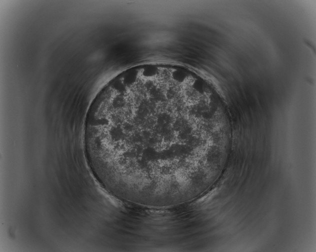 X0000092221231200710121150