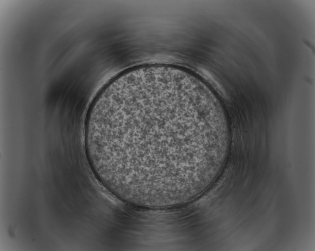 X0000092221232200710121150