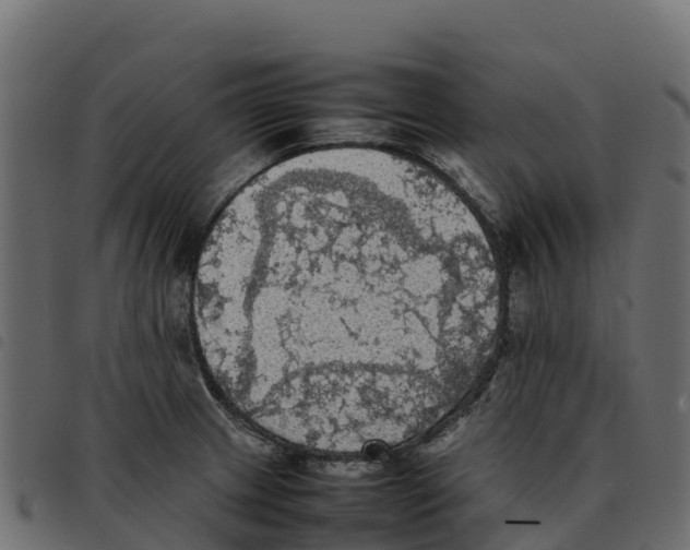 X0000092221233200710121150