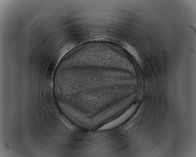 X0000092221234200710121150