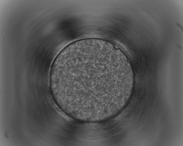 X0000092221236200710121150