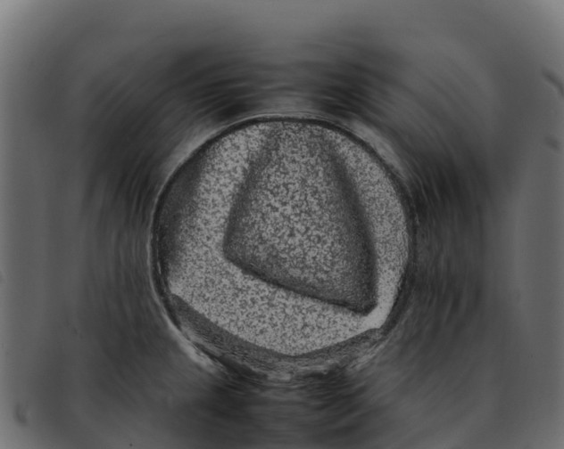 X0000092221237200710121150