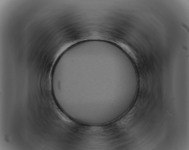 X0000092221238200710121150