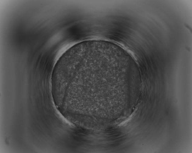 X0000092221239200710121150
