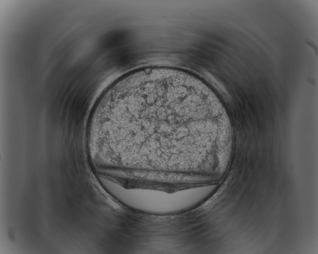 X0000092221240200710121150
