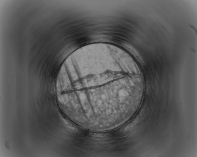 X0000092221241200710121150