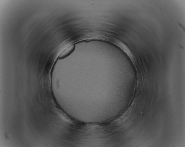 X0000092221242200710121150