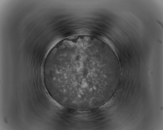 X0000092221243200710121150