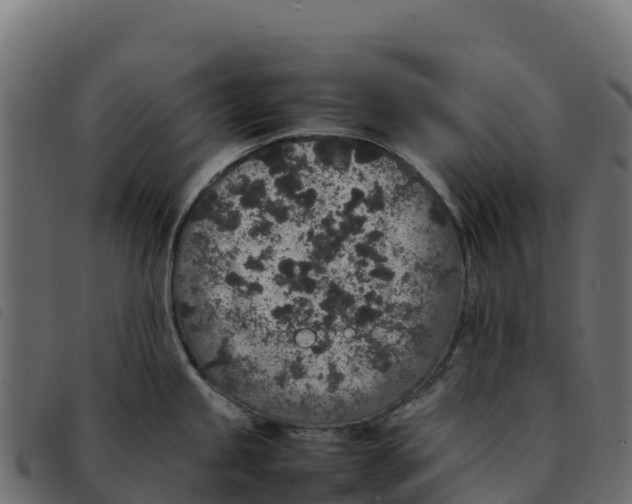 X0000092221245200710121150