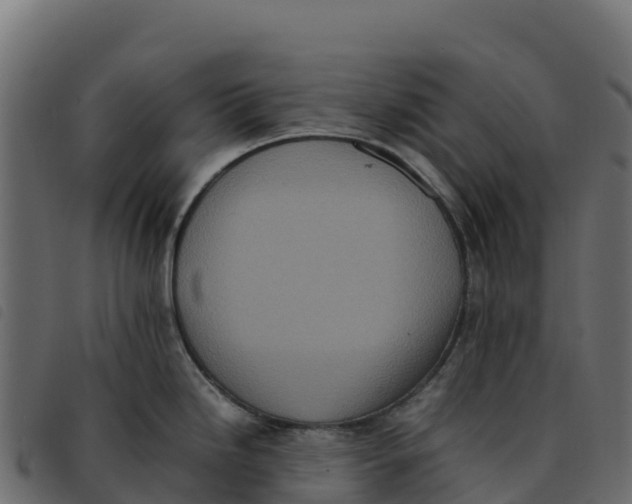 X0000092221246200710121150