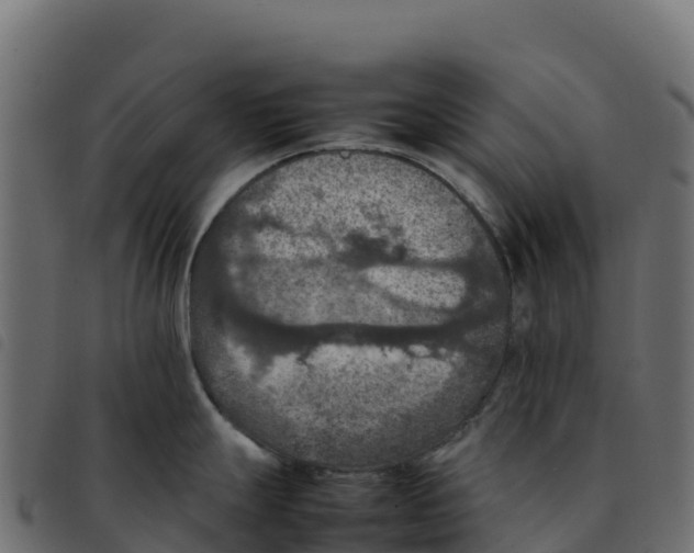 X0000092221247200710121150