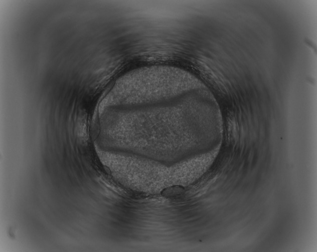 X0000092221250200710121149