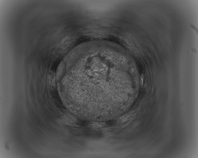 X0000092221251200710121149