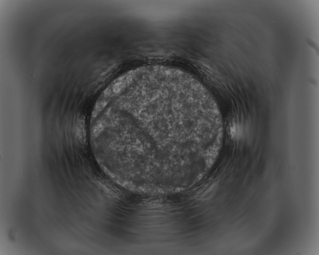 X0000092221252200710121149