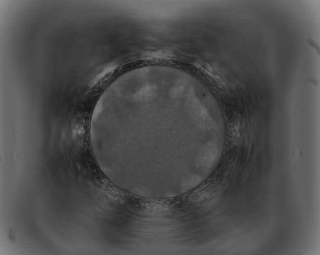 X0000092221254200710121149