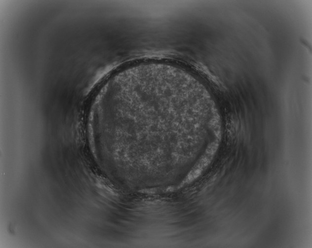 X0000092221256200710121149