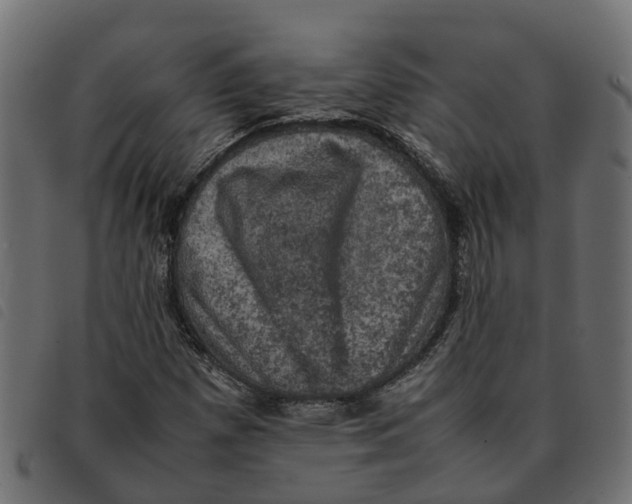 X0000092221257200710121149