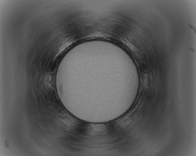X0000092221258200710121149