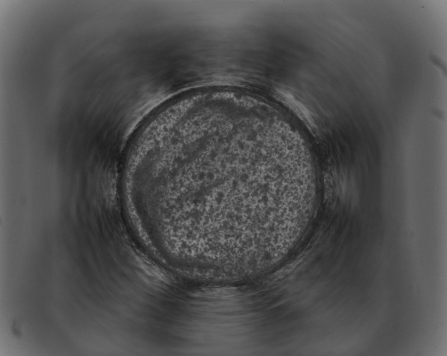 X0000092221260200710121149