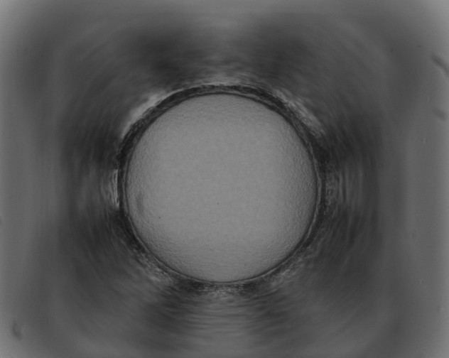 X0000092221262200710121149