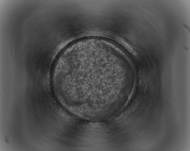 X0000092221264200710121149