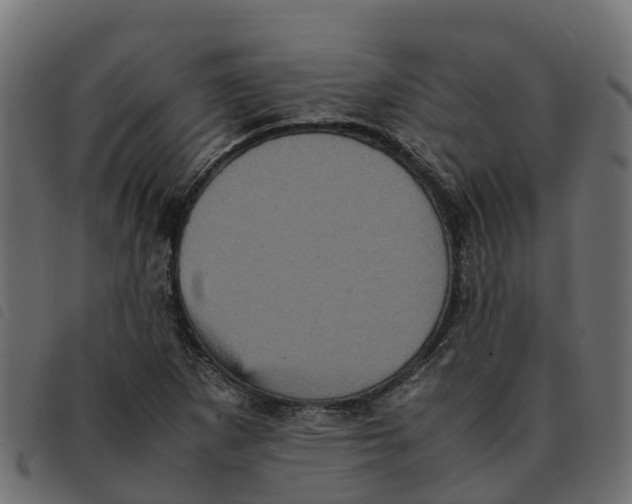 X0000092221265200710121149