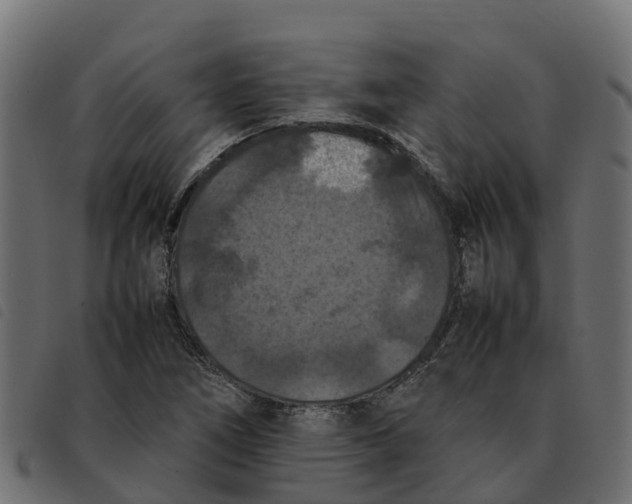 X0000092221266200710121149