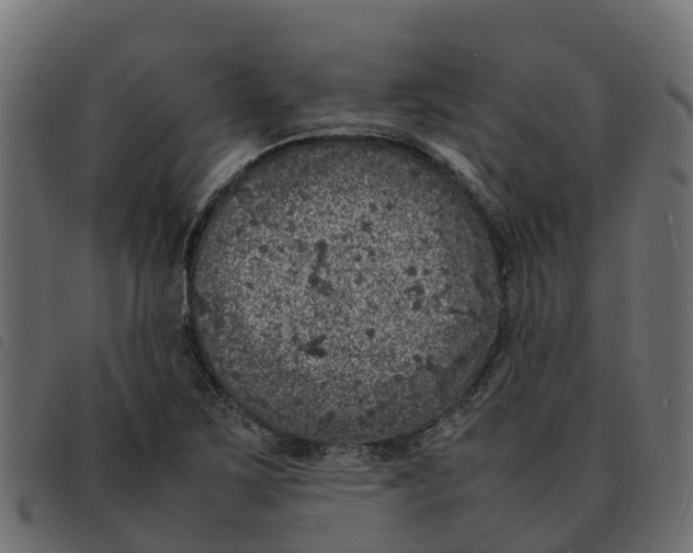 X0000092221267200710121149