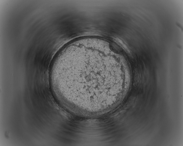 X0000092221268200710121149