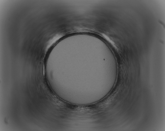 X0000092221269200710121149