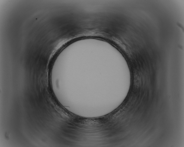 X0000092221270200710121149