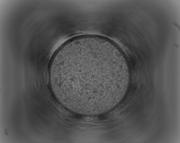 X0000092221271200710121149