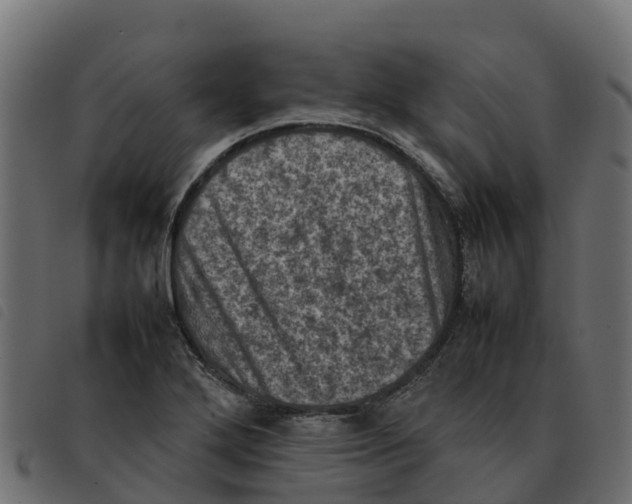 X0000092221272200710121149