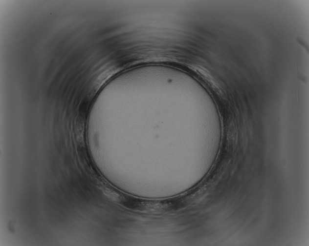X0000092221273200710121149