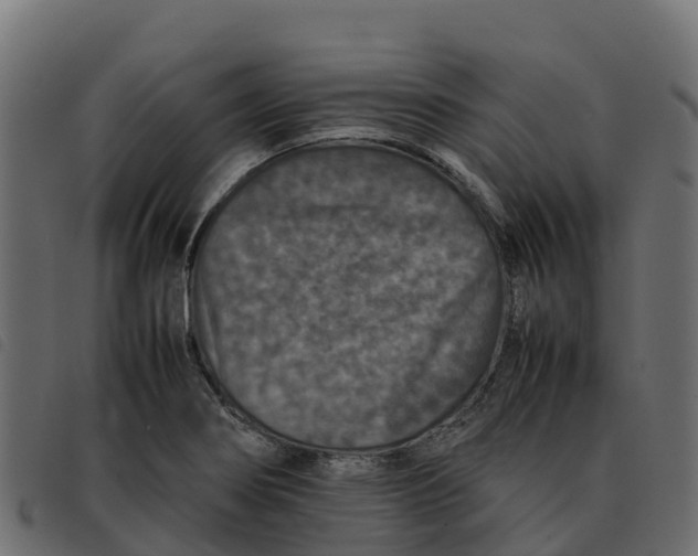 X0000092221274200710121149