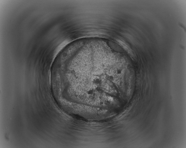 X0000092221275200710121149