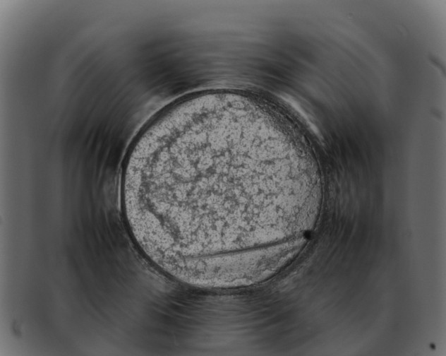 X0000092221276200710121149