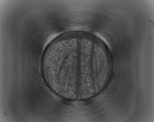 X0000092221277200710121149