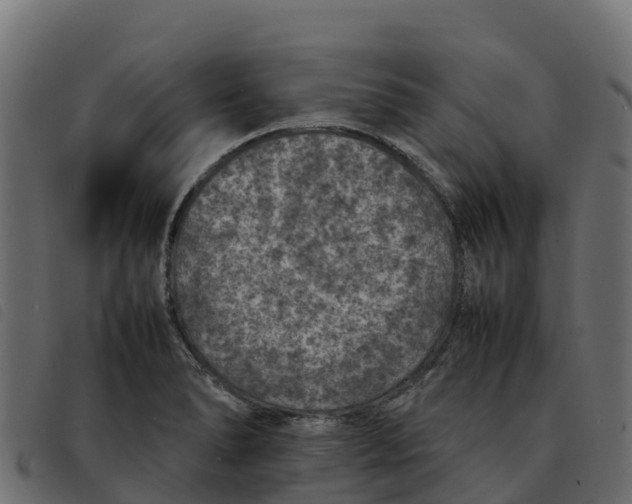 X0000092221278200710121149