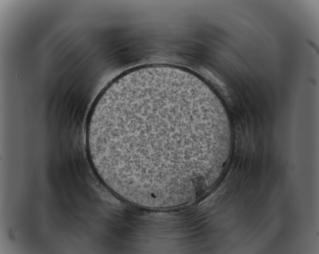 X0000092221280200710121149