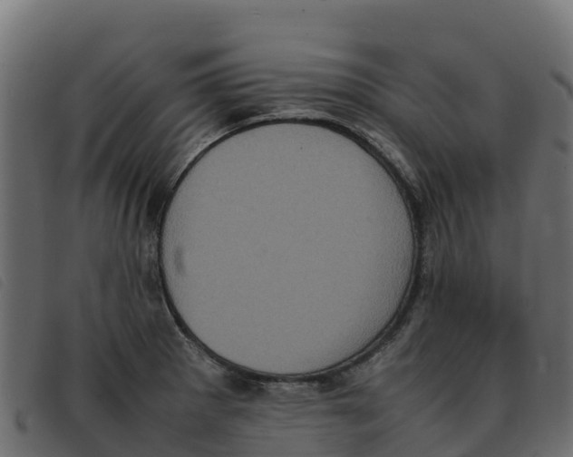 X0000092221281200710121149