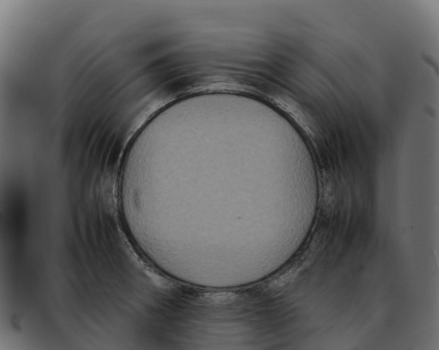 X0000092221282200710121149