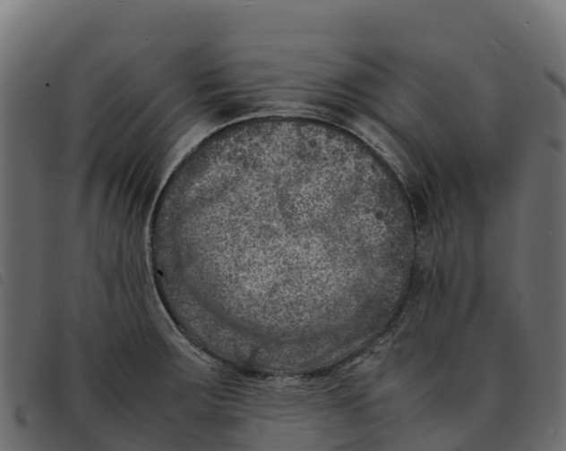 X0000092221283200710121149