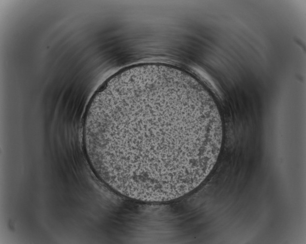 X0000092221284200710121149