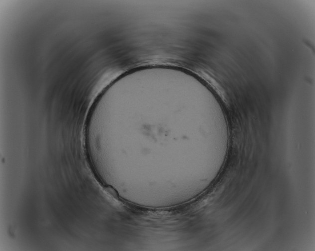 X0000092221285200710121149